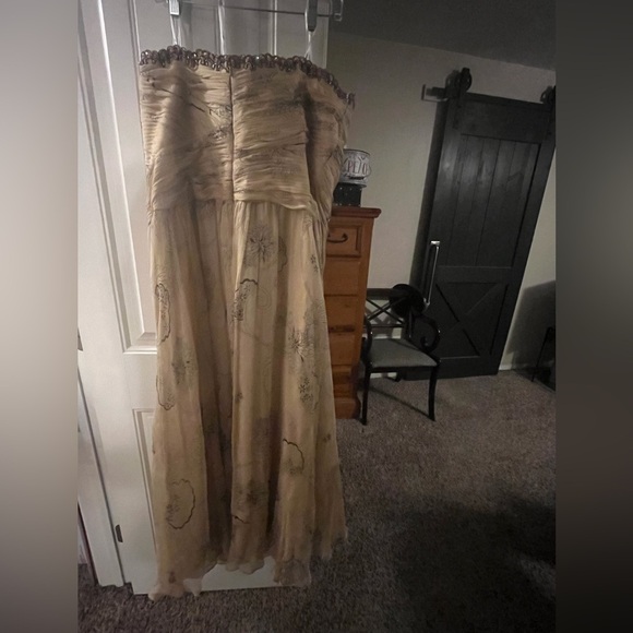 Rina diMontella Strapless Chiffon Gown in Cream and Silver, size 16W - Picture 3 of 11